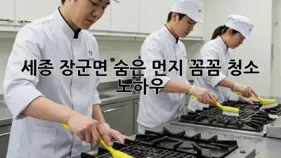 세종 장군면 숨은 먼지, 꼼꼼 청소 노하우!