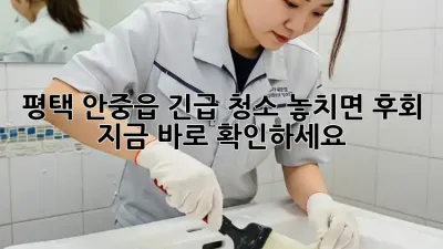 평택 안중읍 긴급 청소🚨 놓치면 후회! 지금 바로 확인하세요!